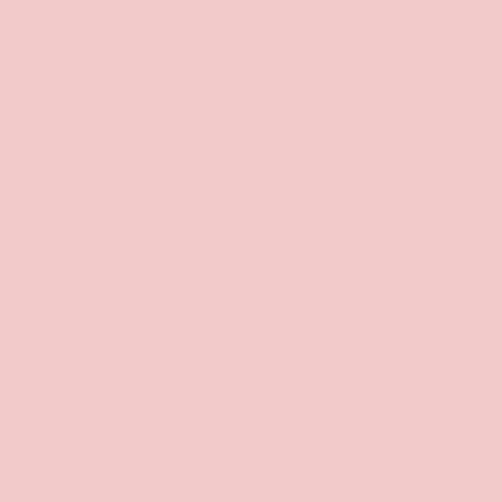 SHEGLAM Insta-Ready Powder Duo Bubblegum